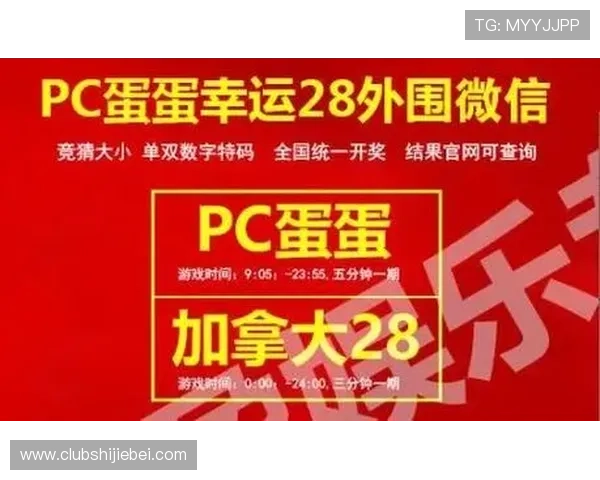 世界杯竞猜步骤详解全攻略，详细介绍从注册到投注的每个关键环节确保顺利参与